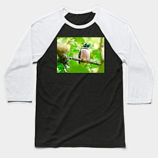 BROADBILL FOREST Baseball T-Shirt